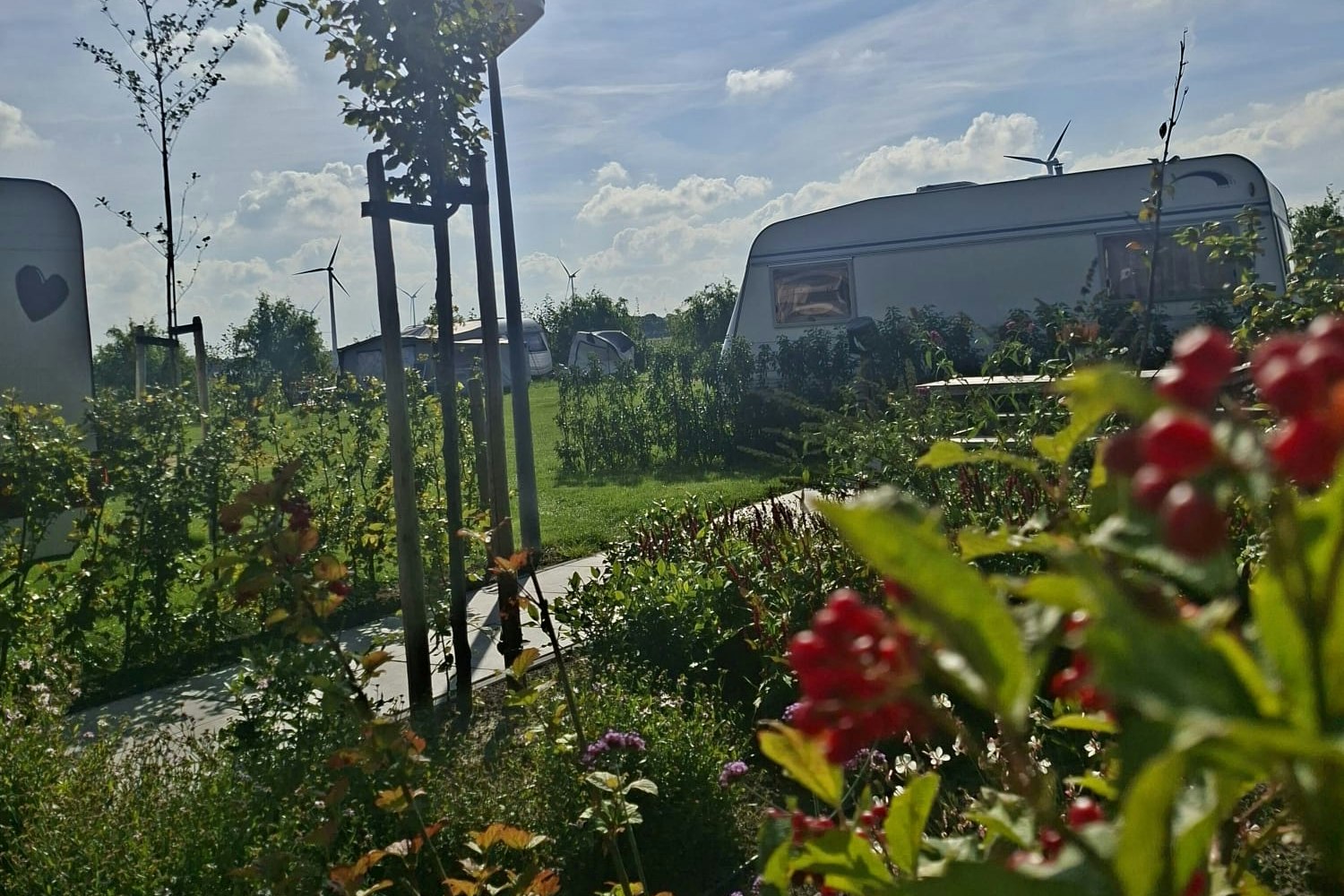 Camping Heerlijk Plekkie - Standplätze im Grünen auf dem Campingplatz