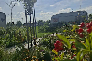 Camping Heerlijk Plekkie - Standplätze im Grünen auf dem Campingplatz