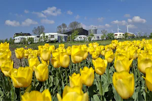 Camping Heerlijk Plekkie - Standplätze neben den Tulpenfeldern in Flevoland