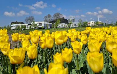 Camping Heerlijk Plekkie