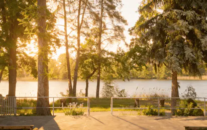 Friday in Bornsdorf - Naturcampingplatz