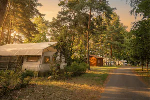 Camping Heideblick - Standplätze auf dem Campingplatz
