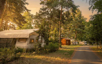 Friday in Bornsdorf - Naturcampingplatz