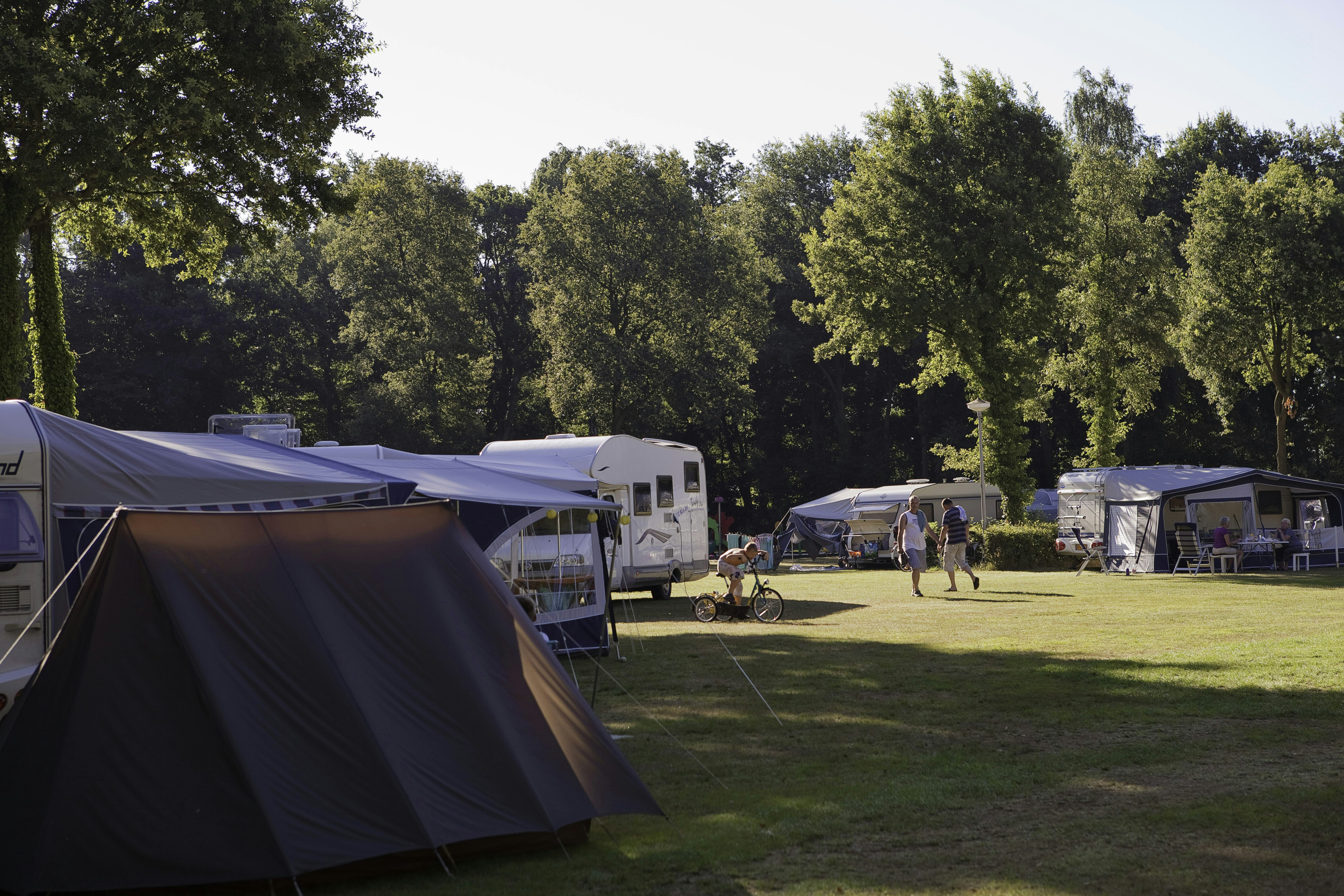 Camping Heidepark - Zeltplatz und Wohnwagenstellplatz auf grüner Wiese auf dem Campingplatz