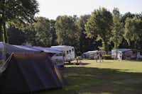 Camping Heidepark - Zeltplatz und Wohnwagenstellplatz auf grüner Wiese auf dem Campingplatz