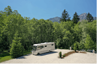 Camping Heiterwanger See - Premiumplatz umgeben von Bäumen