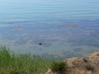 Camping Helios (Triscina di Selinunte)