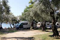 Camping Hellas  -  Wohnwagen- und Zeltstellplatz  zwischen Bäumen am Meer