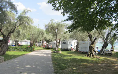 Camping Hellas