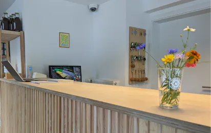 Wildbach Camping
