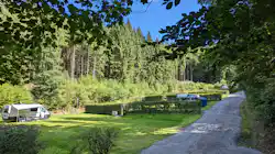 Wildbach Camping