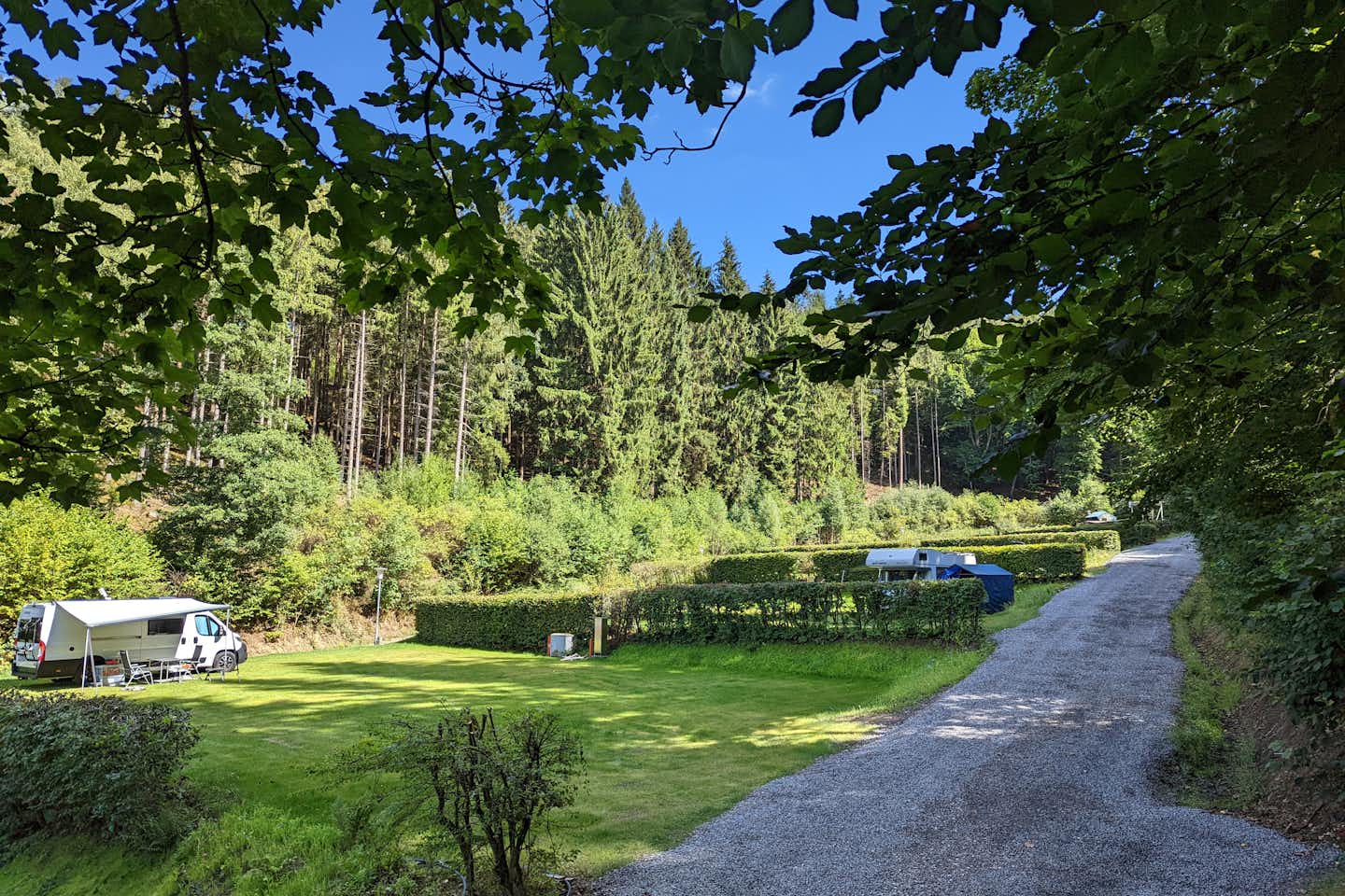 Wildbach Camping - Stellplätze umgeben von Bäumen