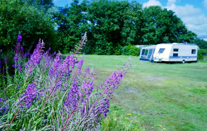 Henneby Camping