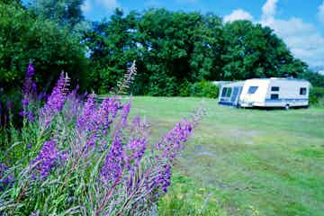 Camping Henneby