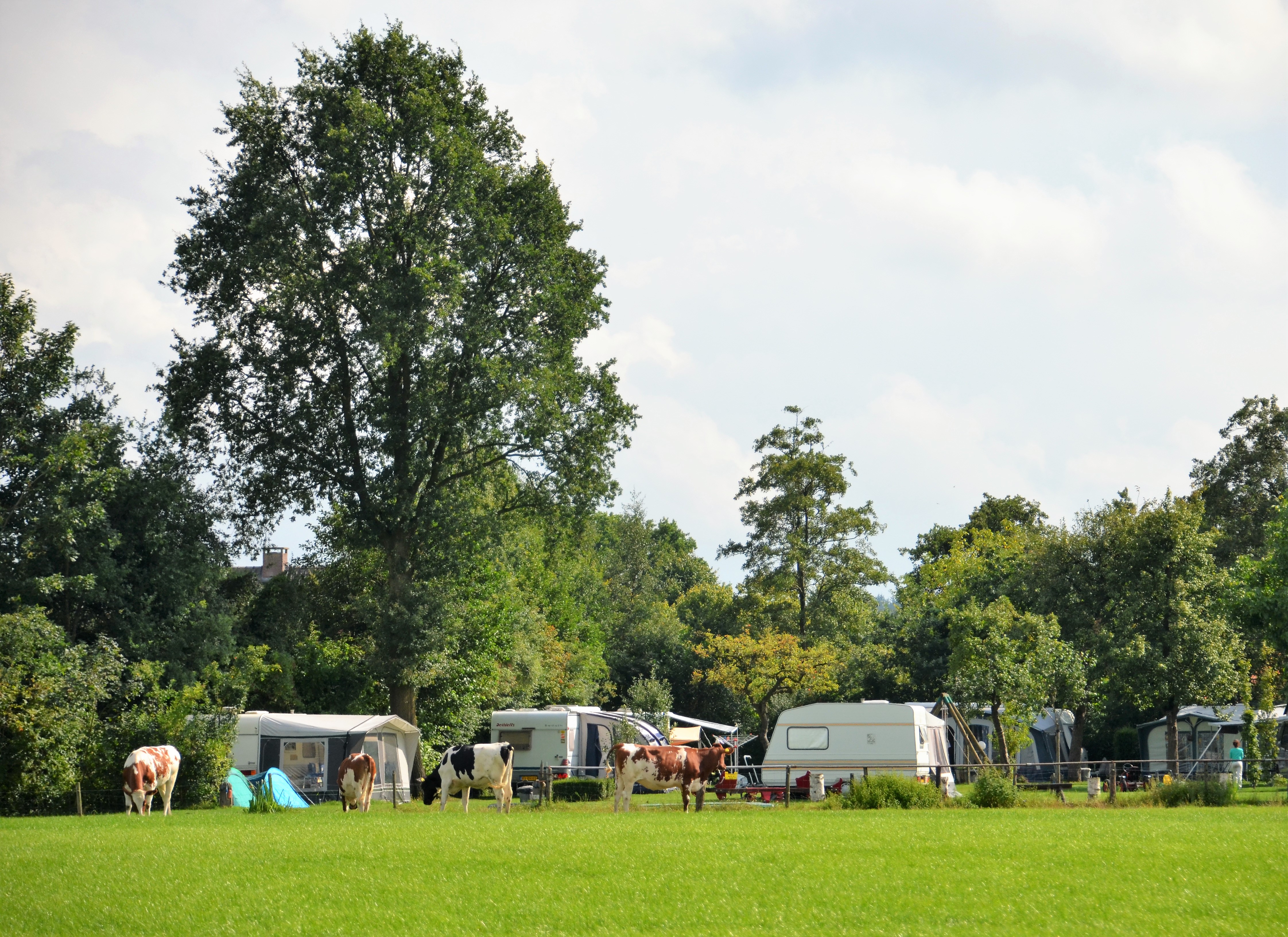 Camping Het Achterste Loo