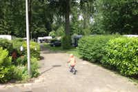 Camping Het Bosbad - Kind auf dem Fahrrad auf dem Campingplatz