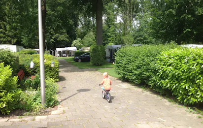 Camping Het Bosbad