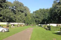 Camping Het Bosbad - Wohnmobilstellplatz auf dem Campingplatz 