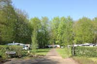 Camping Het Bosbad - schattiger Wohnmobilstellplatz auf dem Campingplatz 