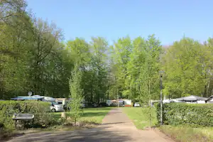 Camping Het Bosbad - schattiger Wohnmobilstellplatz auf dem Campingplatz