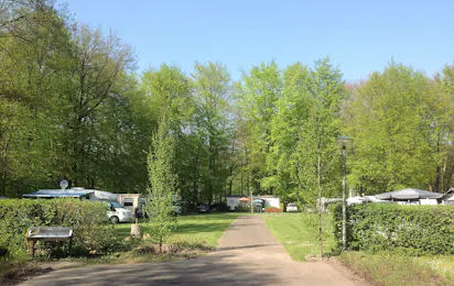 Camping Het Bosbad