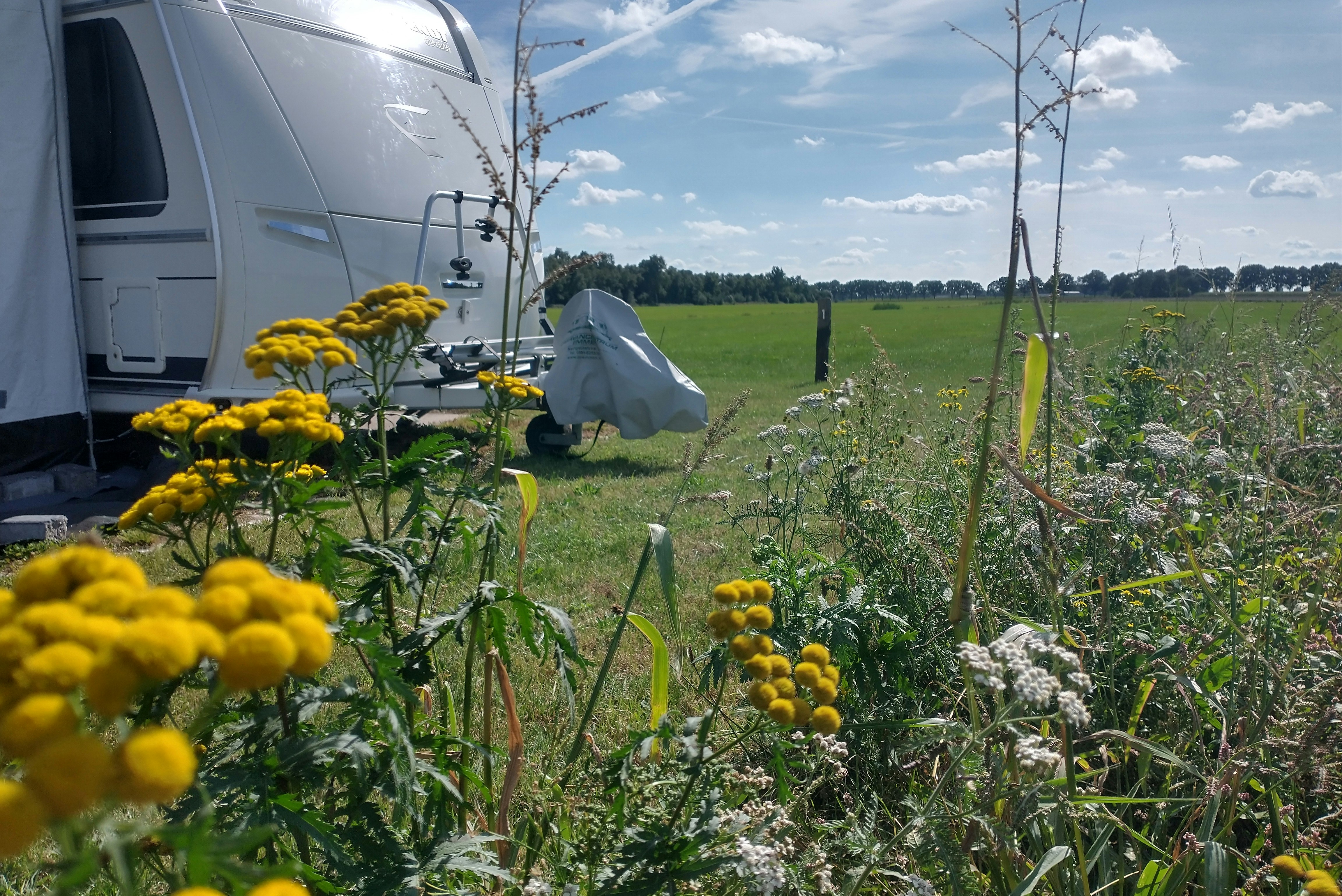 Camping Het Bruchterveld