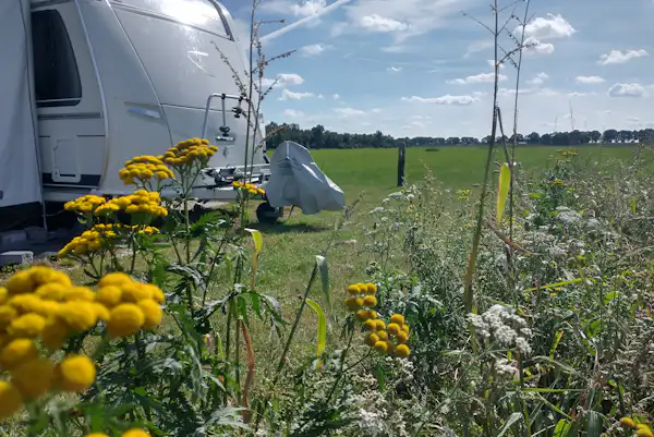 Camping Het Bruchterveld
