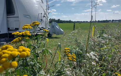 Camping Het Bruchterveld