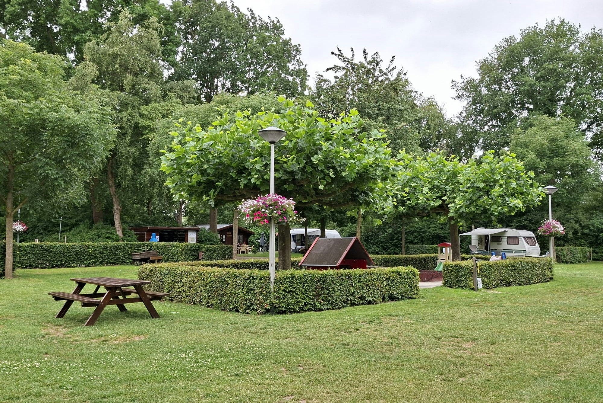 Camping Het Groene Hart - Standplätze auf der Wiese auf dem Campingplatz