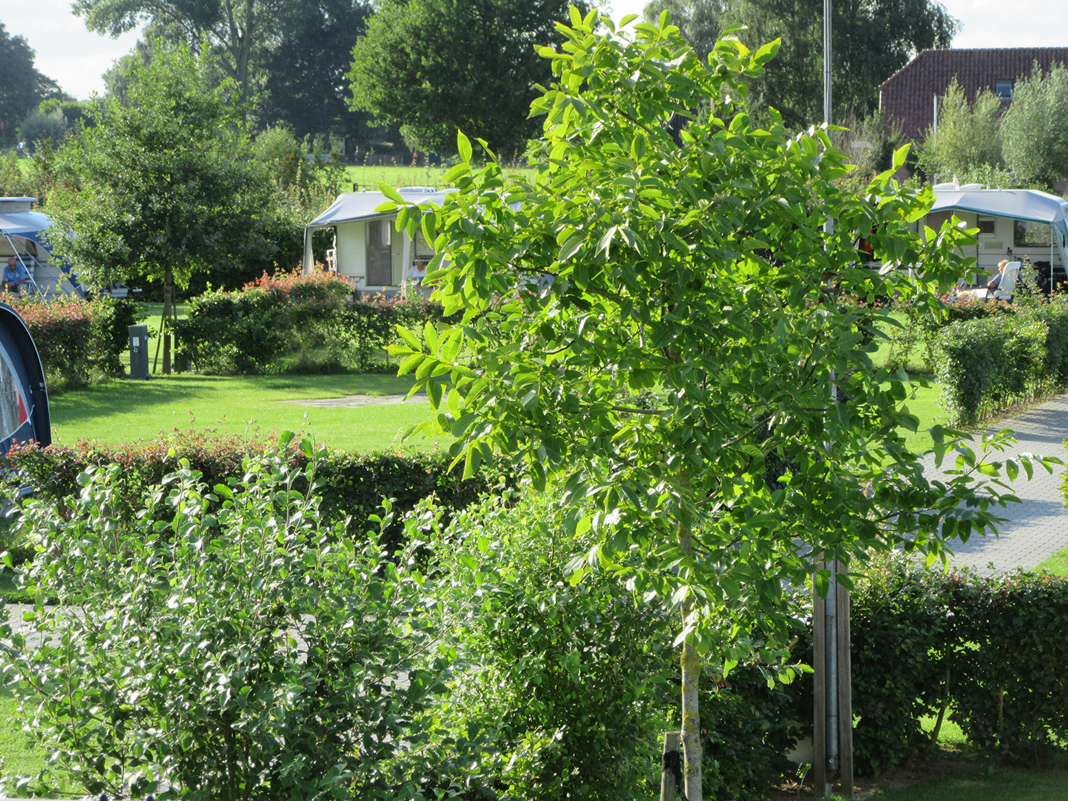 Camping het Klaverblad