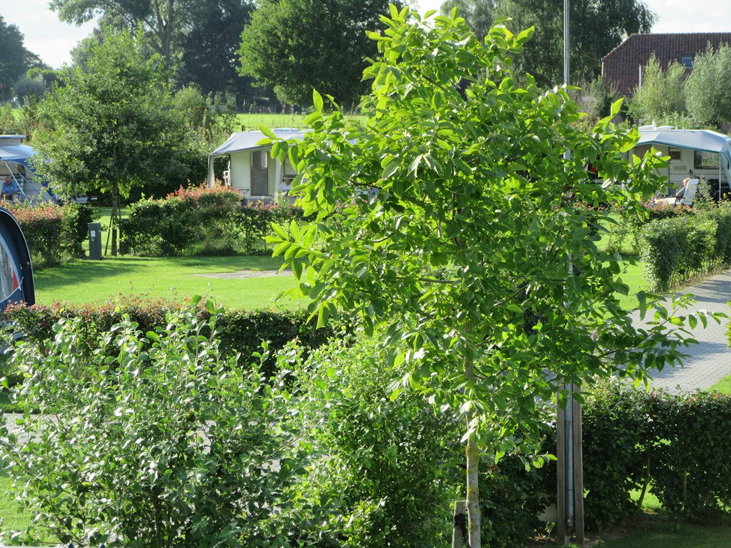 Camping het Klaverblad