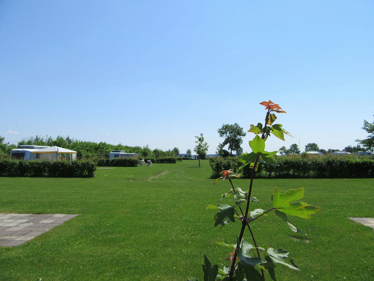 Camping het Klaverblad