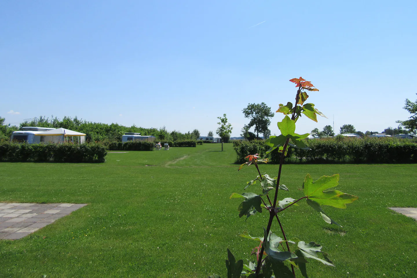 Camping het Klaverblad