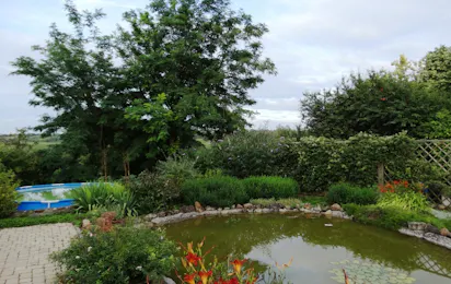 Camping het Koetshuis