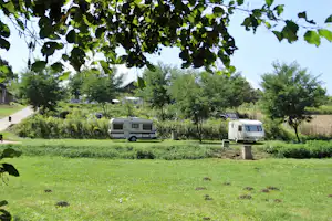Wohnmobile auf einem Campingplatz im Grünen, umgeben von Bäumen und Hecken, mit Kiesweg und Rasenfläche.