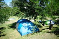 Camping Het Koetshuis - Zelte auf dem Campingplatz im Schatten von Bäumen