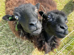 Camping Het Lage Noorden