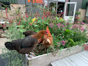 Camping Het Lage Noorden