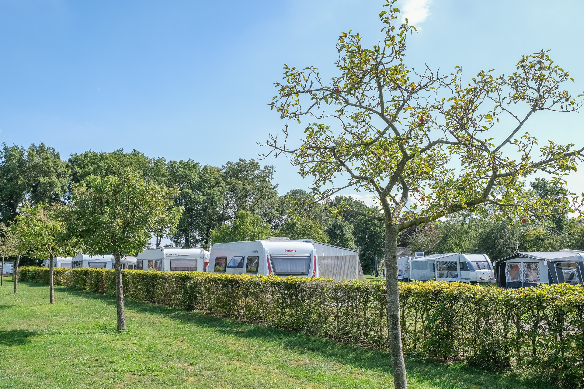 Camping Het Noordenveld