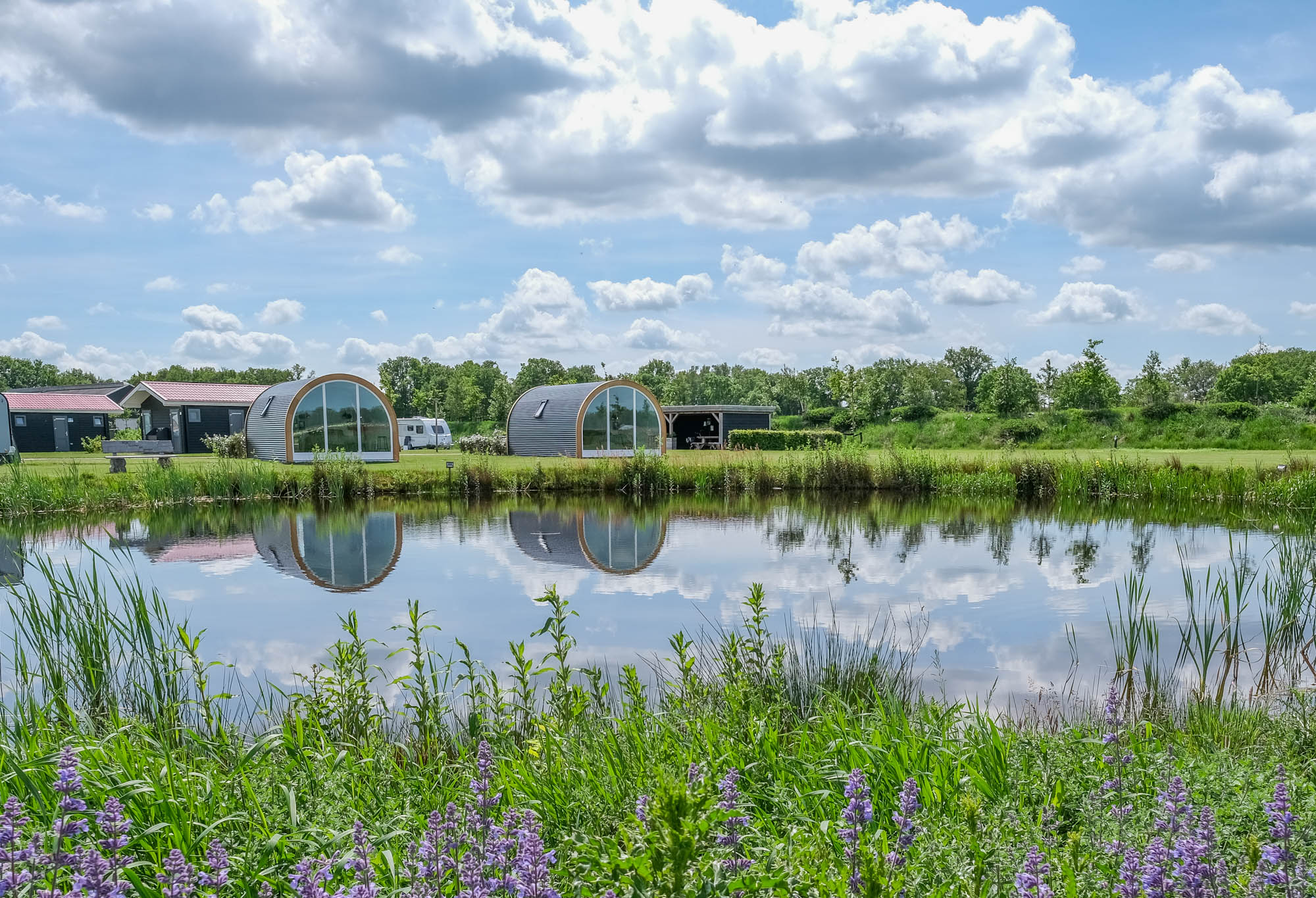 Camping Het Noordenveld