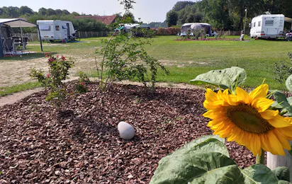 Camping Het Scharrelnest
