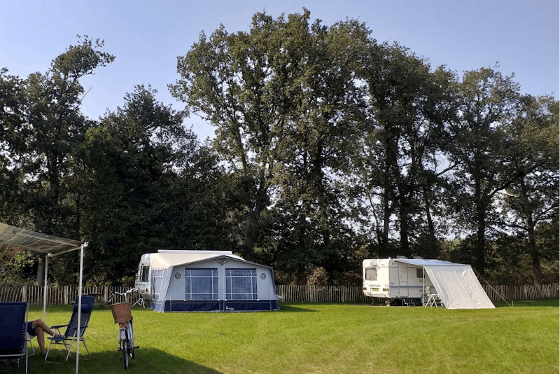 Camping Het Scharrelnest - Standplätze auf dem Campingplatz