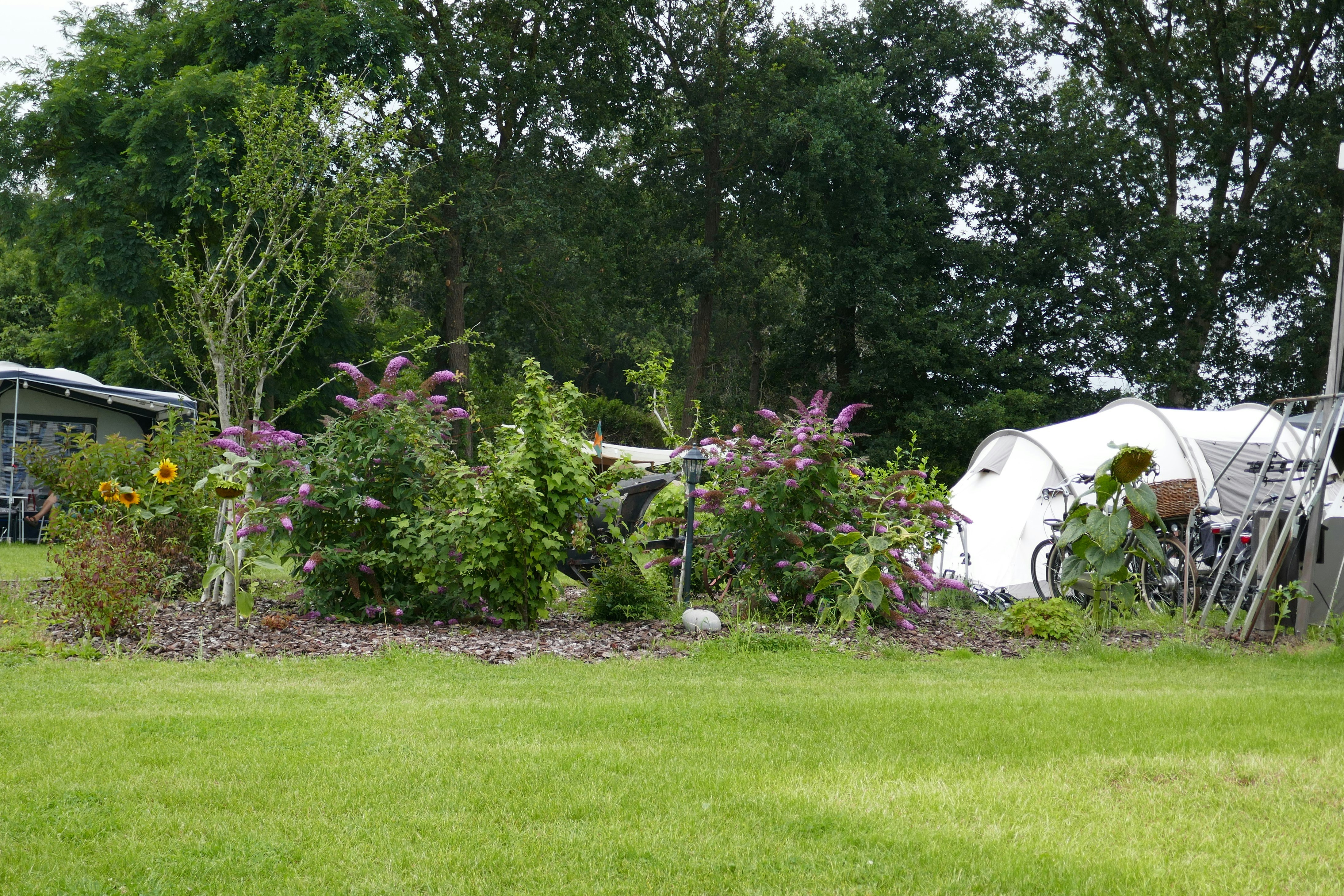 Camping Het Scharrelnest - Zeltplätze im Grünen