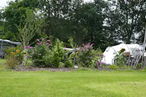 Zelte und ein Wohnwagen stehen im grünen Garten neben einem gepflegten Rasen und Blumenbeeten mit Büschen und Bäumen.