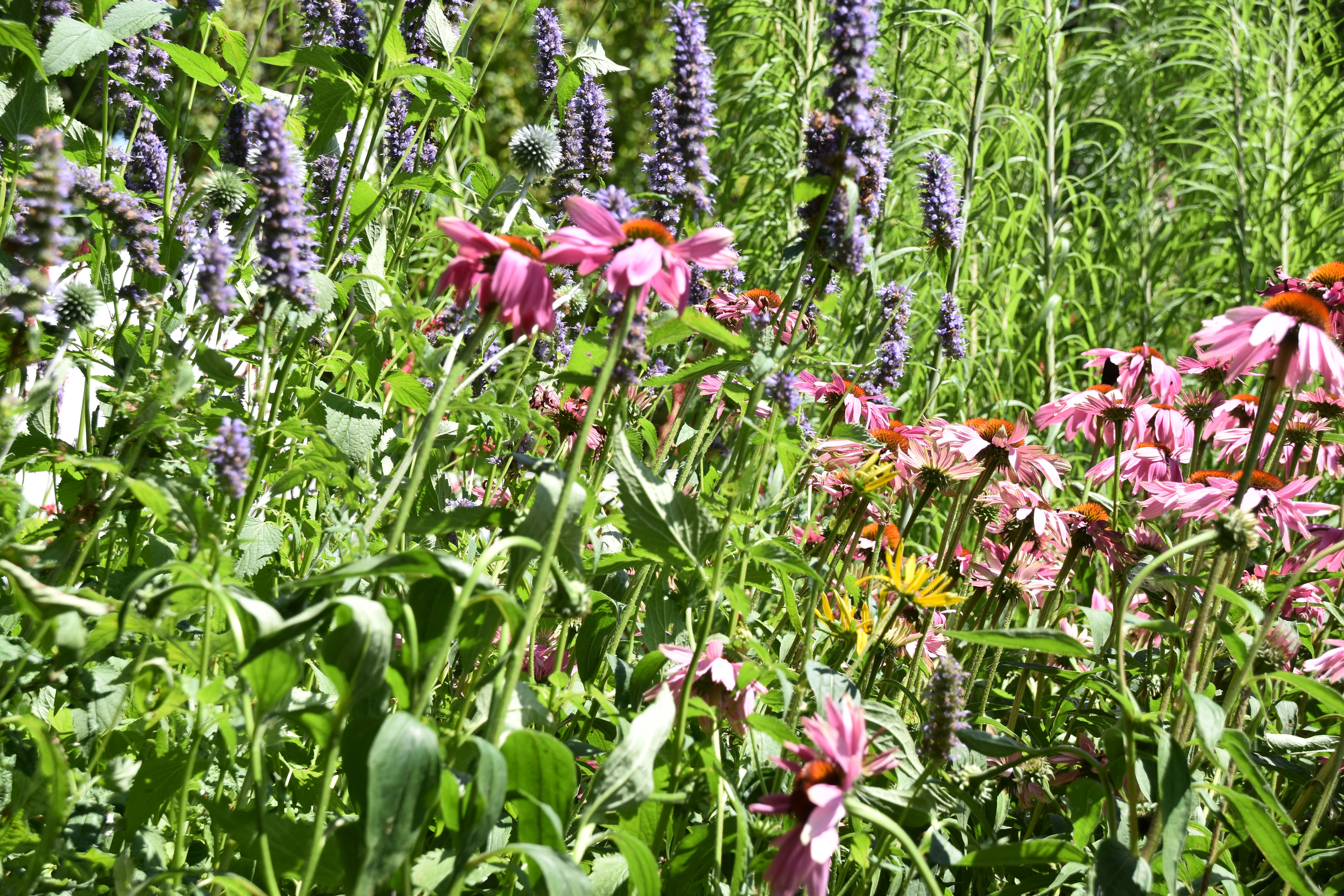 Camping Het Stammeland