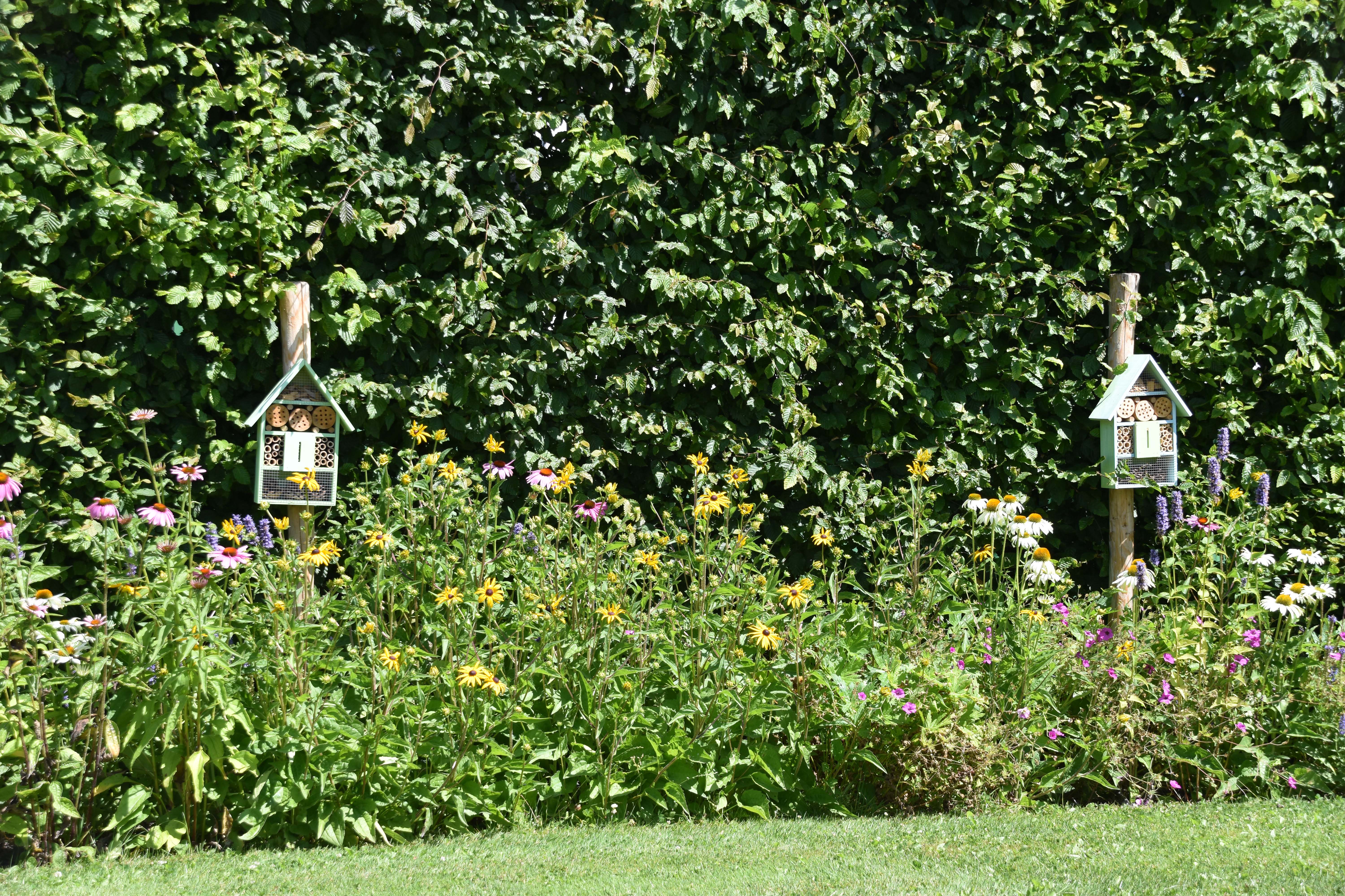 Camping Het Stammeland