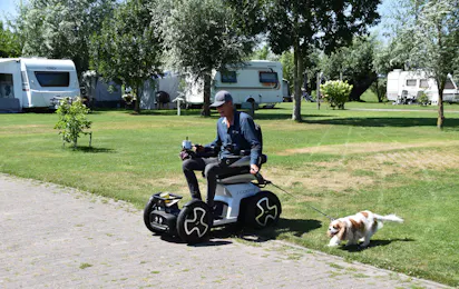 Camping Het Stammeland