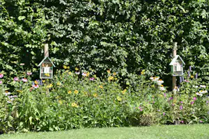 Camping Het Stammeland