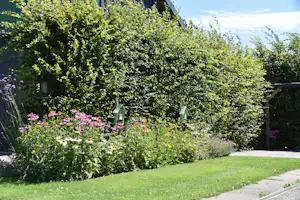 Blühendes Blumenbeet mit Hecke und Rasenfläche, daneben ein gepflasterter Weg und Gartenzaun.