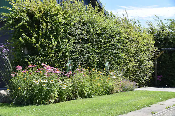 Camping Het Stammeland